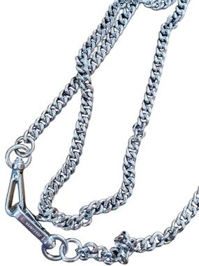 🆕 ALL SAINTS New! All Saints Chain Bag Strap